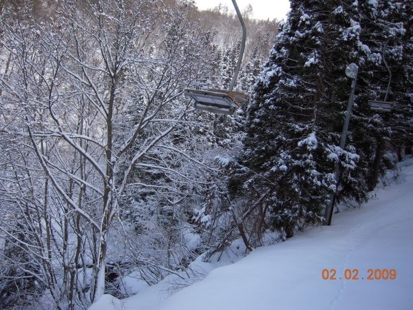 DSCN1046.jpg