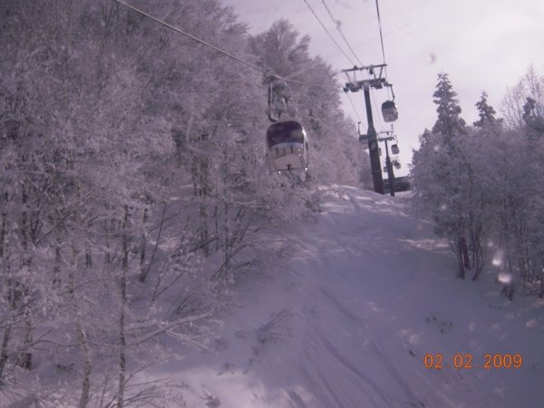 DSCN1072.jpg
