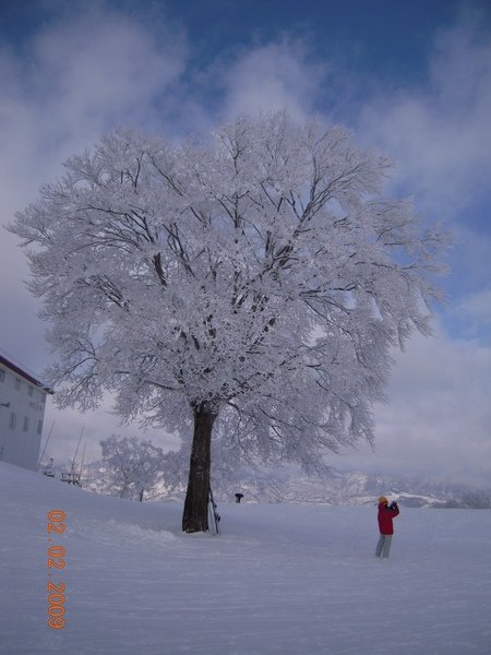 DSCN1084.jpg