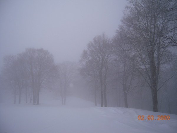 DSCN1183.jpg