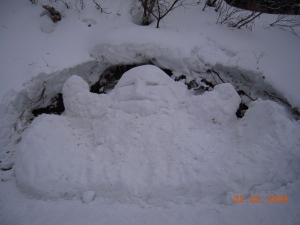 DSCN1201.jpg