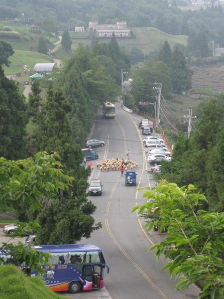 照片 294.jpg