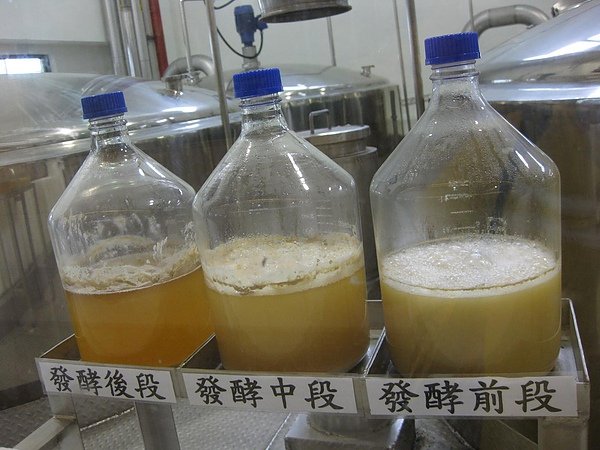 照片 306.JPG