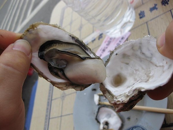 照片 146.JPG