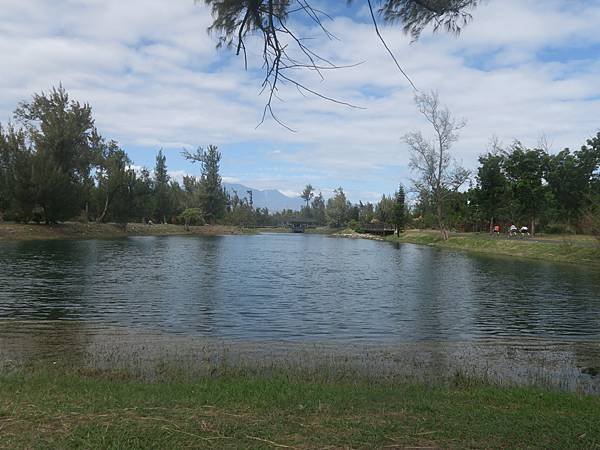 台東森林公園-琵琶湖.jpg