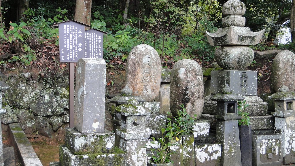 DSC01289.JPG