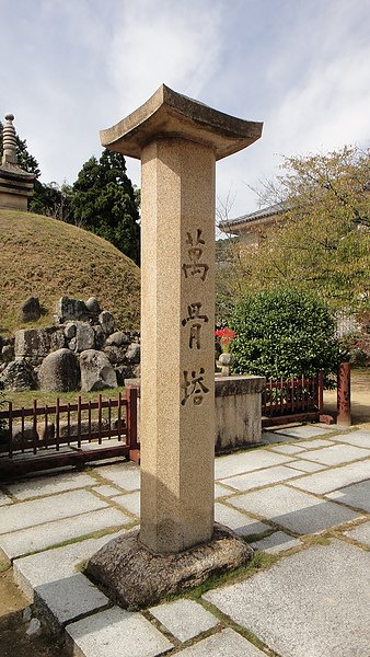DSC01662.JPG