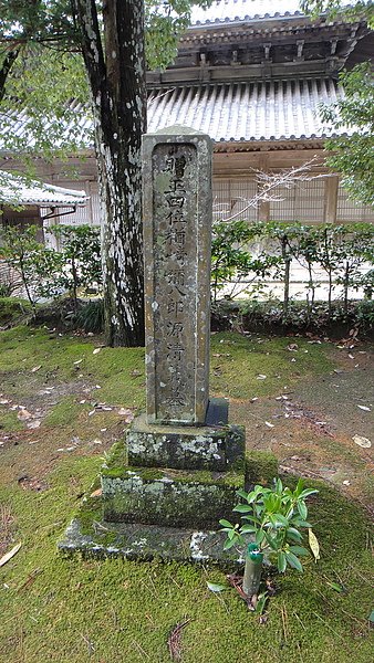 DSC01258.JPG