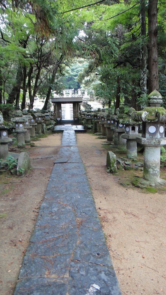 DSC01262.JPG