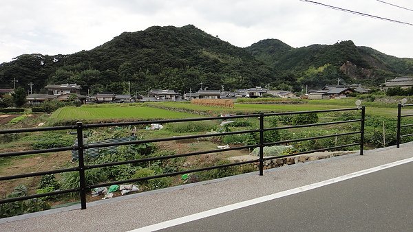 DSC01306.JPG
