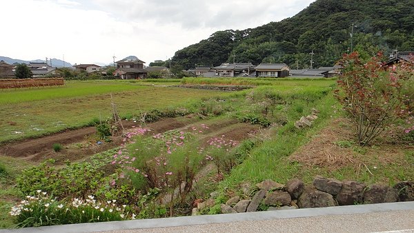 DSC01307.JPG