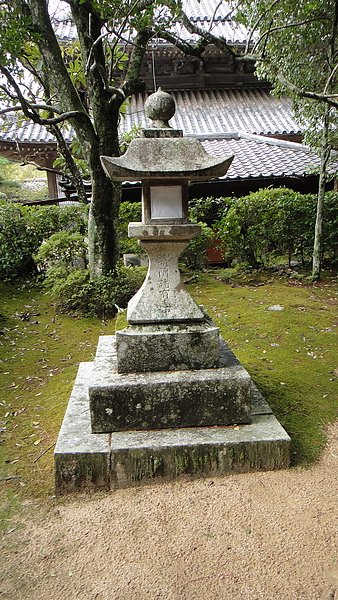DSC01256.JPG