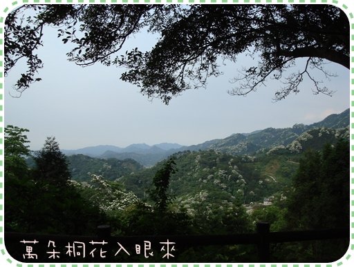 大山背8.JPG