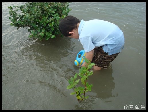 200909南寮08.JPG