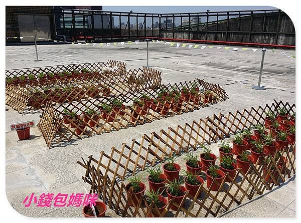 2015-04-05 12.53.48_副本.jpg