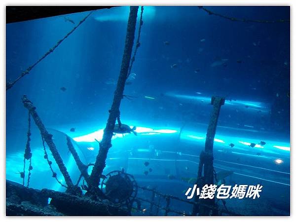 20151013_111052_副本.jpg
