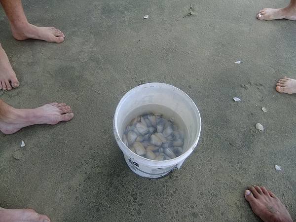 DSCF4390.JPG