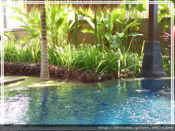 PhotoCap_022.jpg