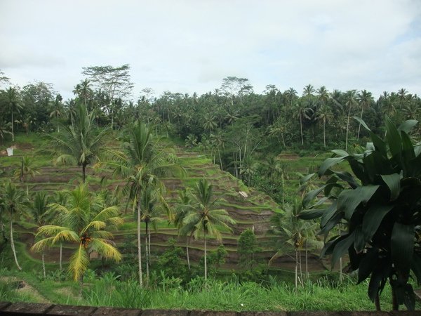 DSCF1544.JPG