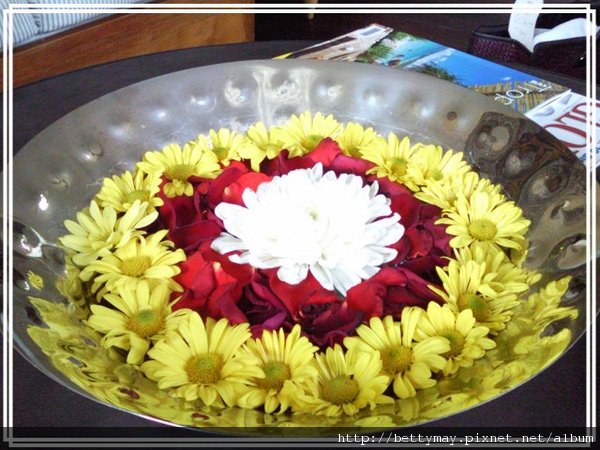 PhotoCap_014.jpg