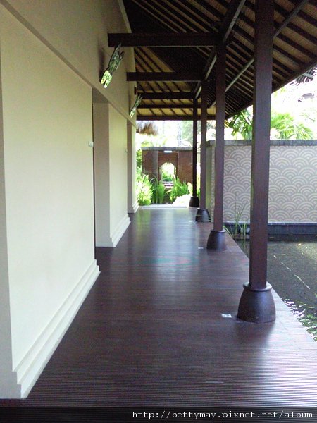 SNC00483.jpg