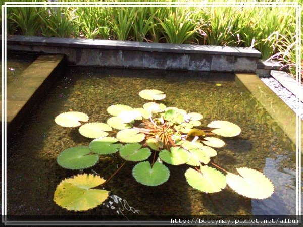 PhotoCap_005.jpg