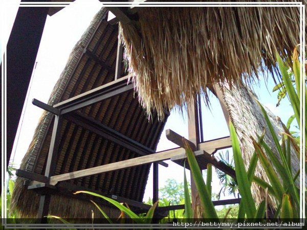 PhotoCap_026.jpg