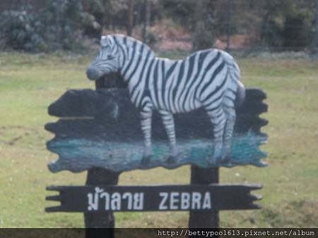 ZOO