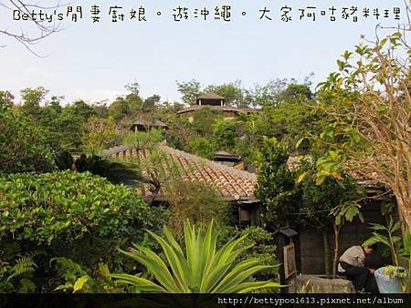 大家-阿咕豬料理