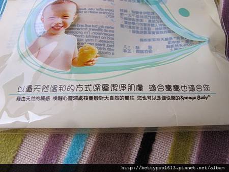 洗臉海棉