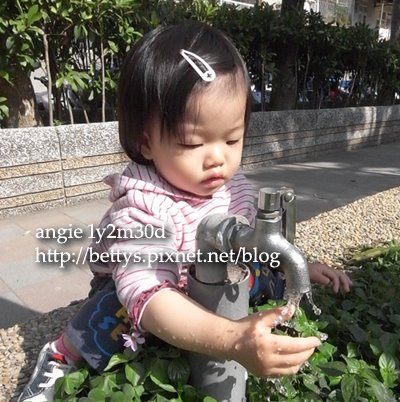20100121-3.jpg