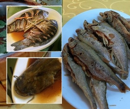 魚餐對照.jpg