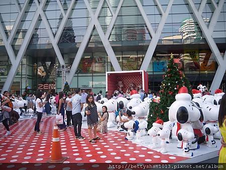 P1070557.JPG