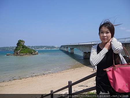 P1110110.JPG