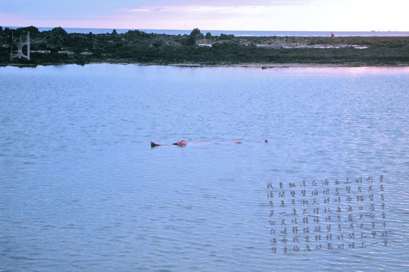 SDC185852.jpg