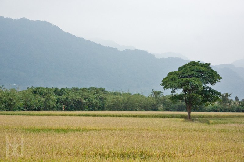 他們的背景 by Nex 7