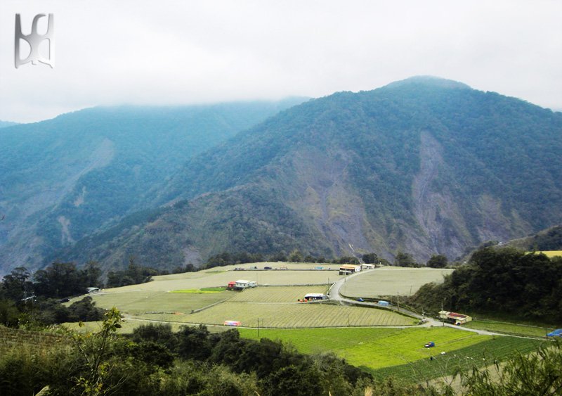 南山部落1
