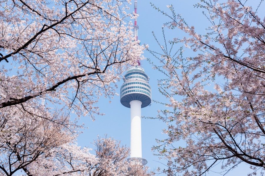 batch_Korea_Seoul_N-Seoul-Tower_Ashutterstock_787909882-1.jpg