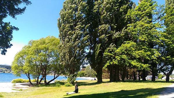 P_20161109_141656.jpg