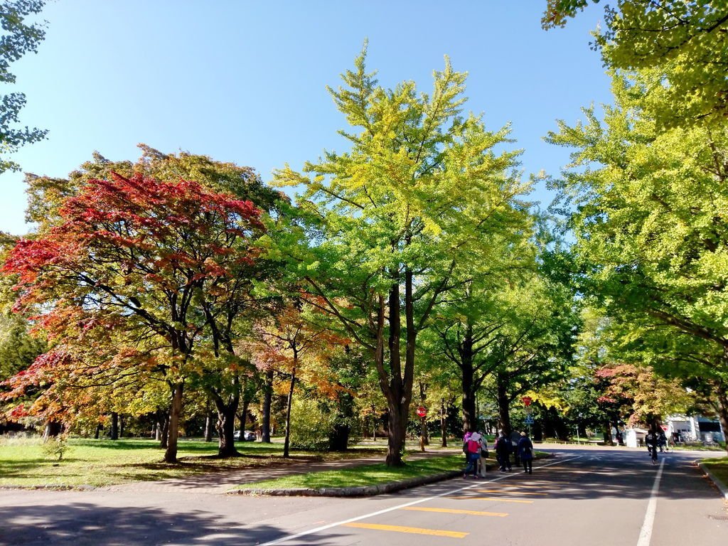 IMAG0591.jpg