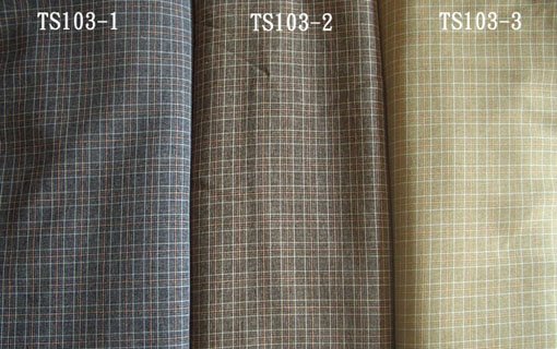 TS103.jpg