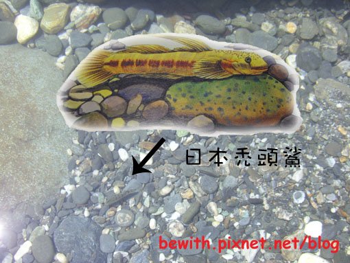 慕谷慕魚15.jpg