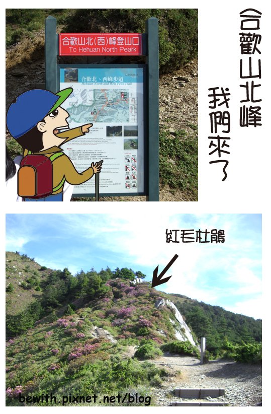合歡山