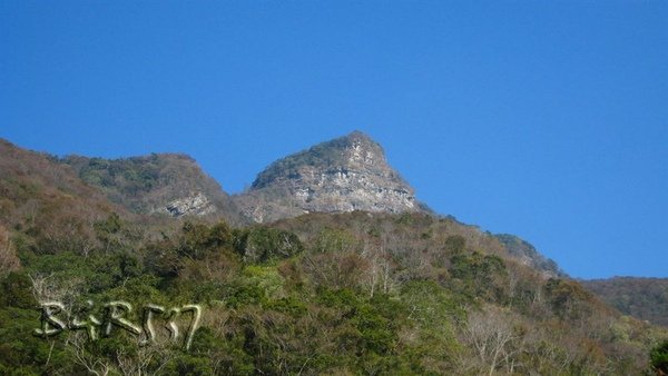 虎山 022.jpg