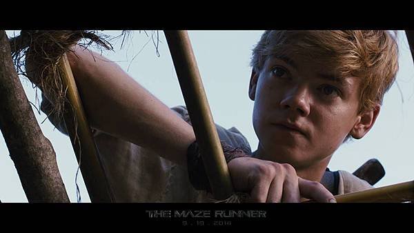 The-Maze-Runner-Film-image-the-maze-runner-film-36659565-960-540