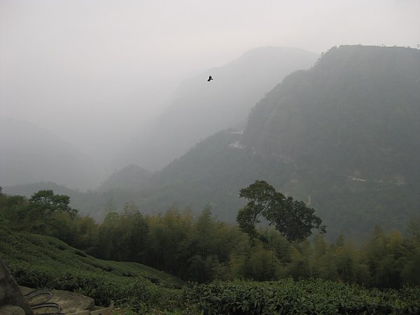 IMG_8853.JPG