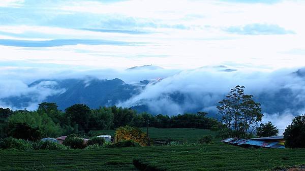 uri_mh1591523053268.jpg
