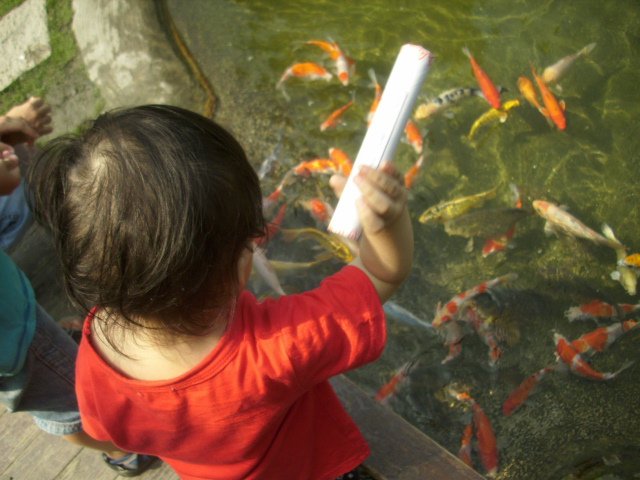 小屁餵魚很豪邁