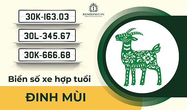 Biển số xe hợp mệnh cho tuổi Đ