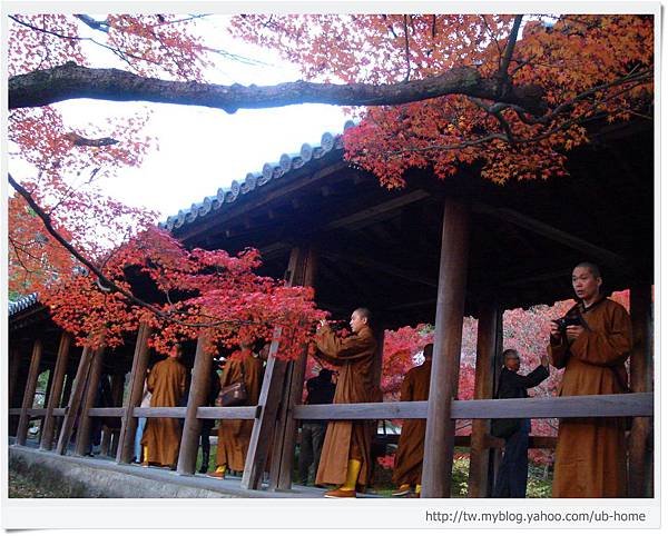 東福寺-通天橋上僧侶-1.JPG